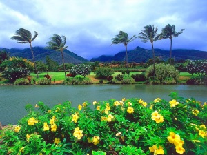 maui_tropical_plantation